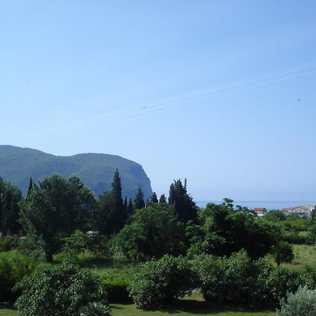 Apartments Viktorija Petrovac Rum bild